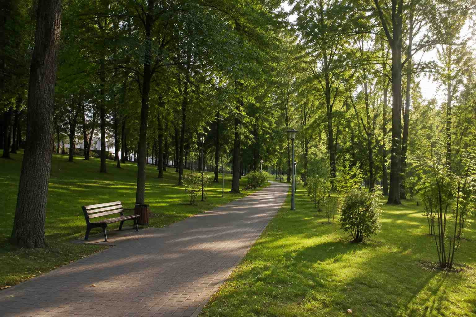 https://tambov.blago-s.ru/storage/app/uploads/public/6a7/eef/ed2/6a7eefed2af22038960370.jpg